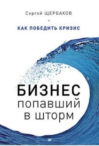 Бизнес, попавший в шторм. Как победить кризис 37009 фото