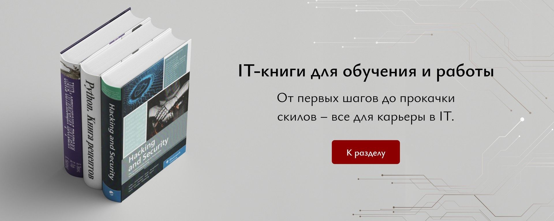 Баннер IT-книги для обучения и работы в интернет-магазине Babadook