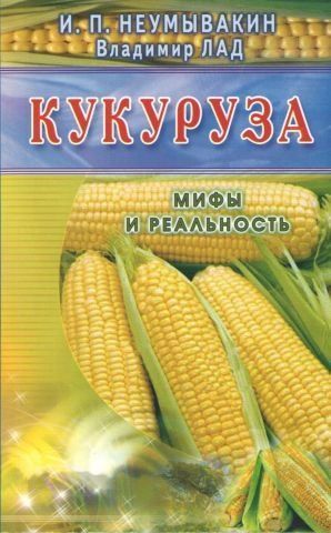 Кукуруза. Мифы и реальность 41082 фото
