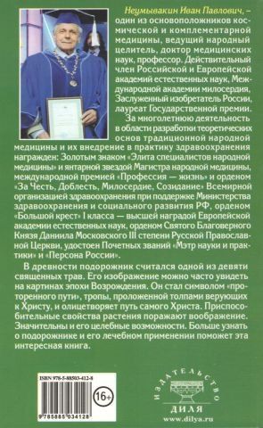 Подорожник. Мифы и реальность 36933 фото