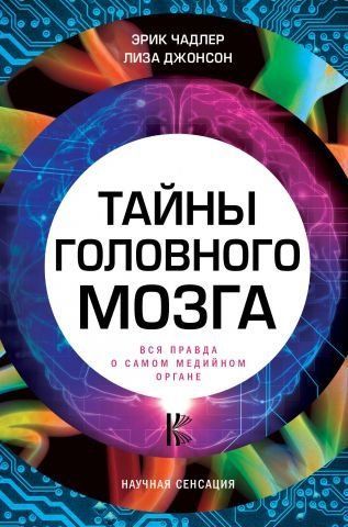 Тайны головного мозга. Вся правда о самом медийном органе 79513 фото