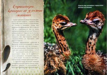 &laquo;Аскания-Нова&raquo; &ndash; заповедная быль 52338 фото