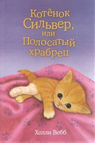 Кошеня Сільвер, або Смугастий сміливець 128582 фото