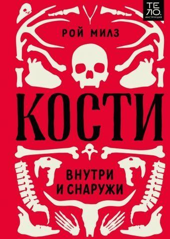 Кости: внутри и снаружи 183394 фото