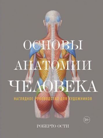 Основы анатомии человека. Наглядное руководство для художников 132524 фото