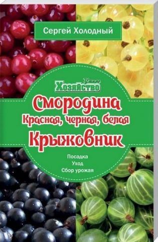 Смородина красная, черная, белая. Крыжовник. Посадка, уход, сбор урожая 130628 фото