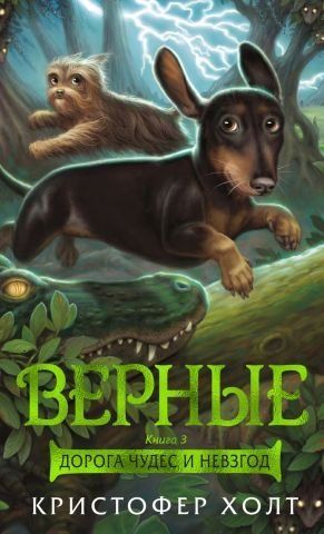 Верные. Книга 3. Дорога чудес и невзгод 100212 фото